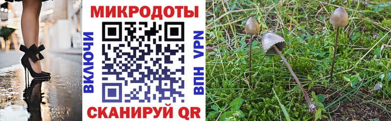 Псилоцибиновые грибы MAGIC MUSHROOMS Купить закладки Луховицы
